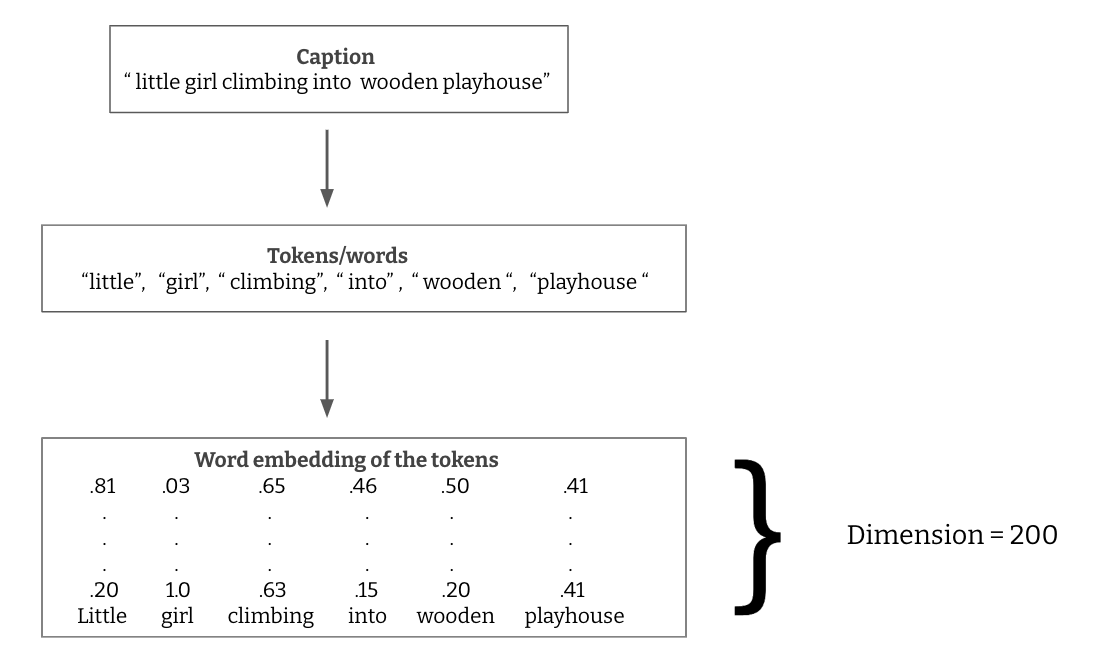 Text tensor input example